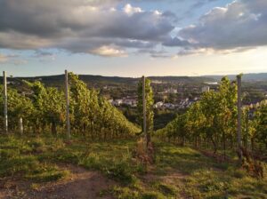 Qué hacer en Trier, la segunda Roma