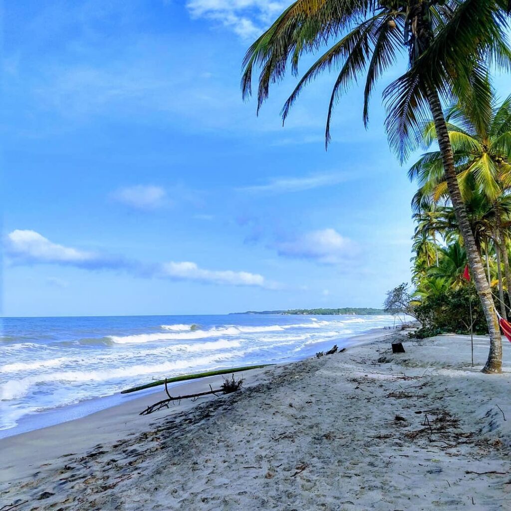 Playas de Palomino