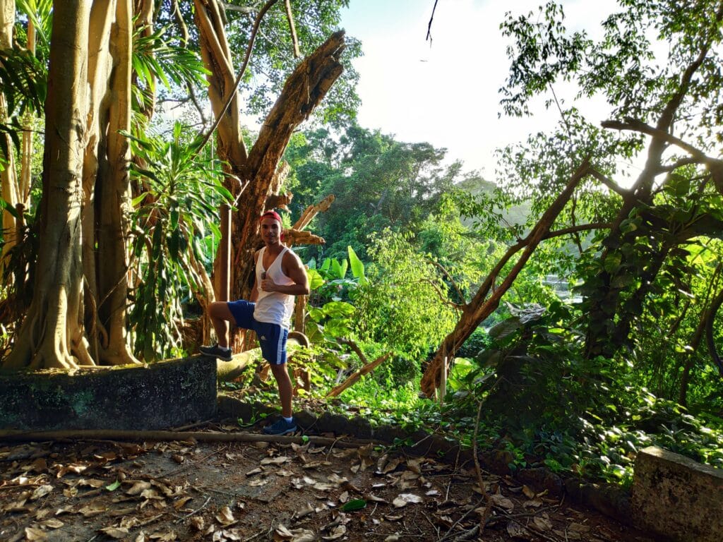 bosque de la habana