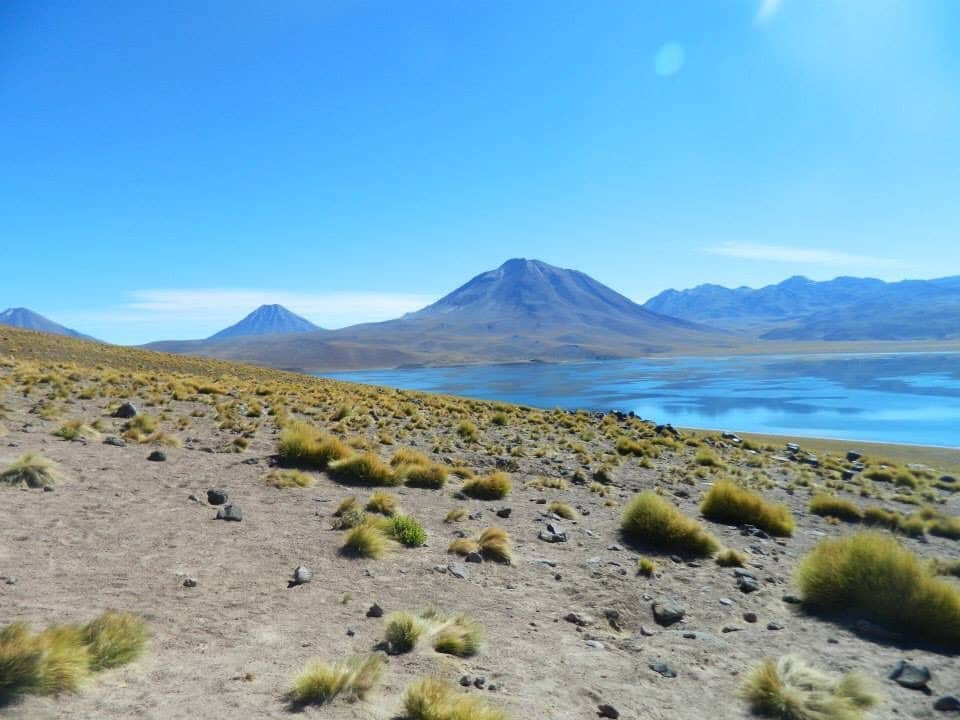 Lagunas Altiplanicas. Own picture.