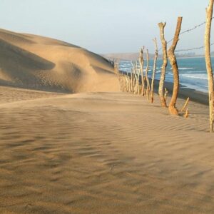 Chachalacas - Playas de México