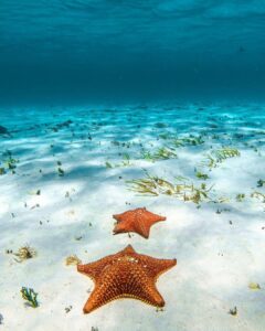 El cielo - cozumel