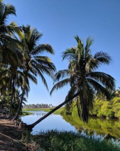 Playa Azul - Michoacán