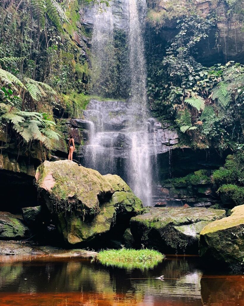 El Salto del Mico