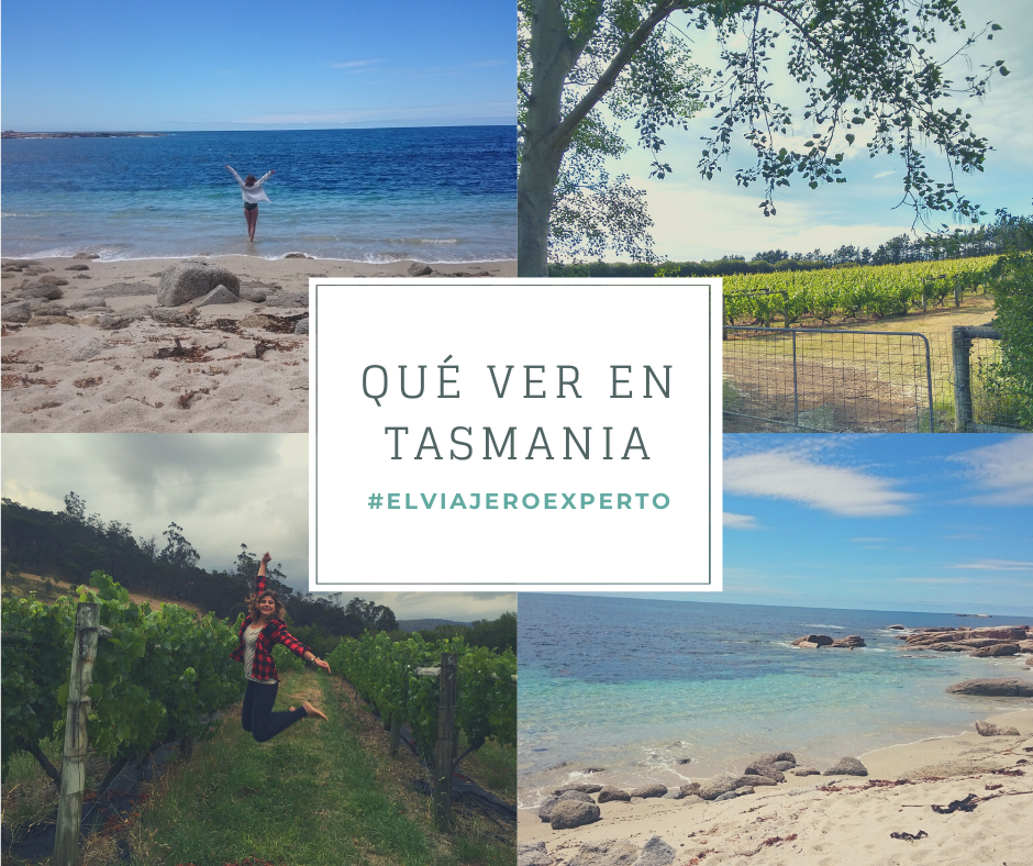 Qué ver en Tasmania Los 10 sitios que no te puedes perder