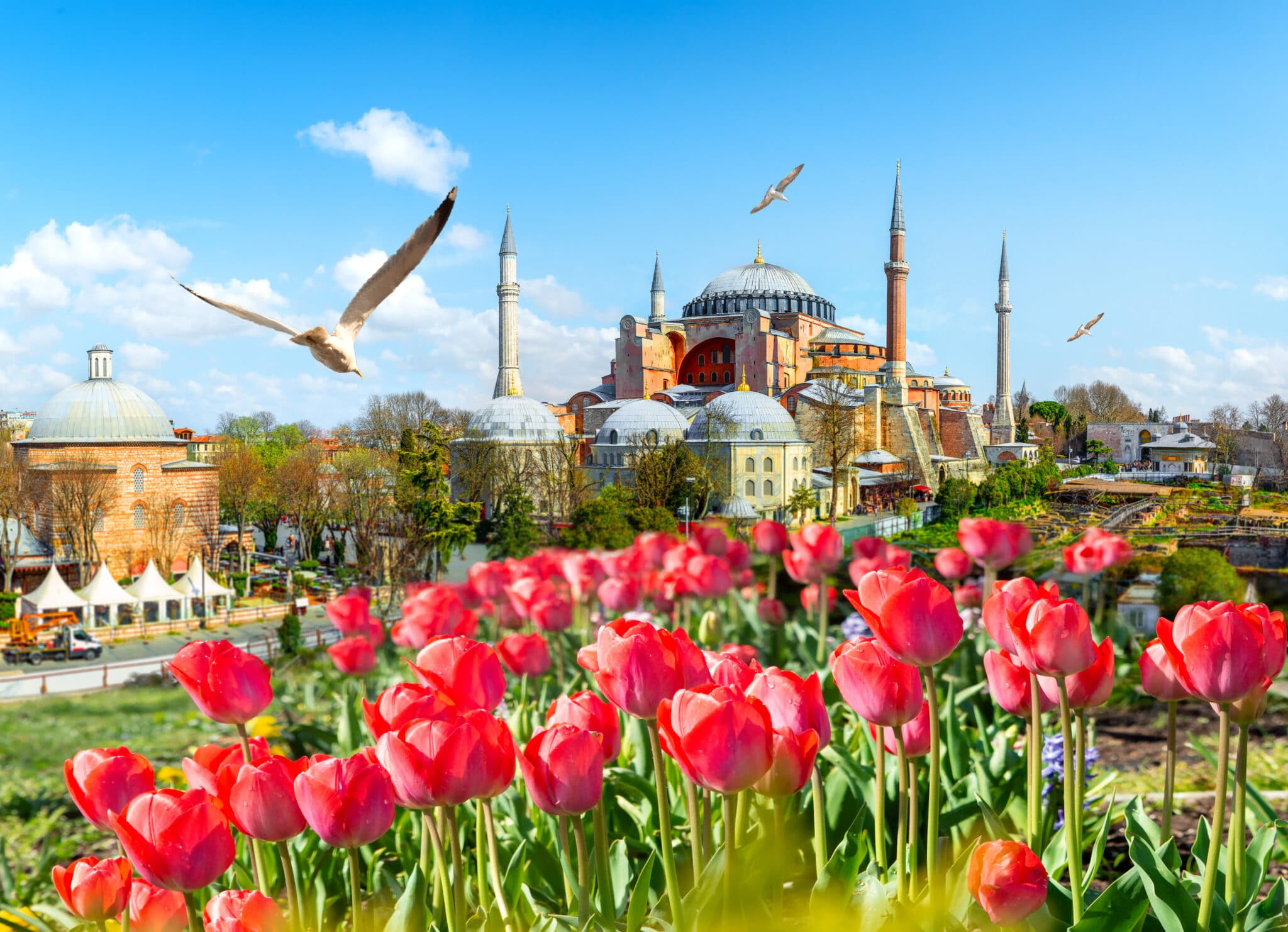 Primavera en Estambul el Festival de los tulipanes El Viajero Experto