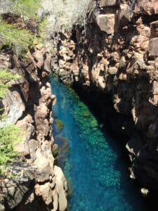 Visitar las Gritas es algo que hay que hacer en las Islas Galápagos