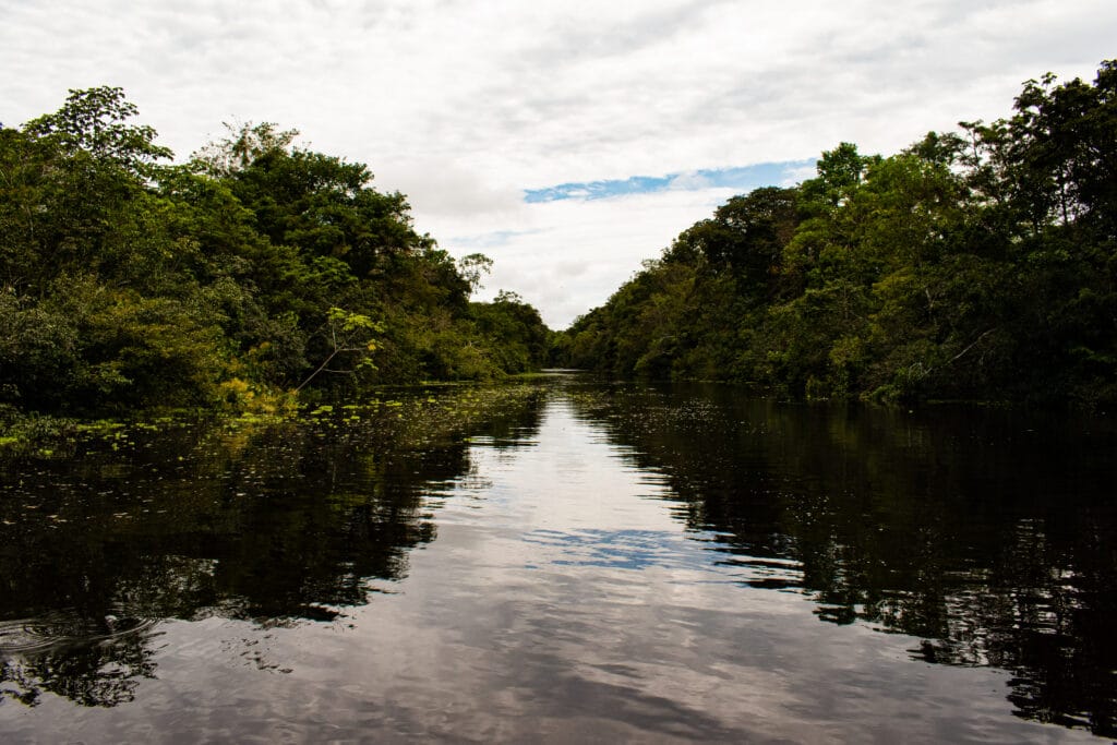 Dentro de la amazonía peruana