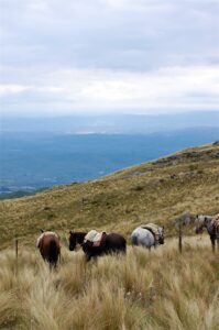 Valles Serranos