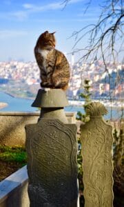 Cementerio de Eyüp