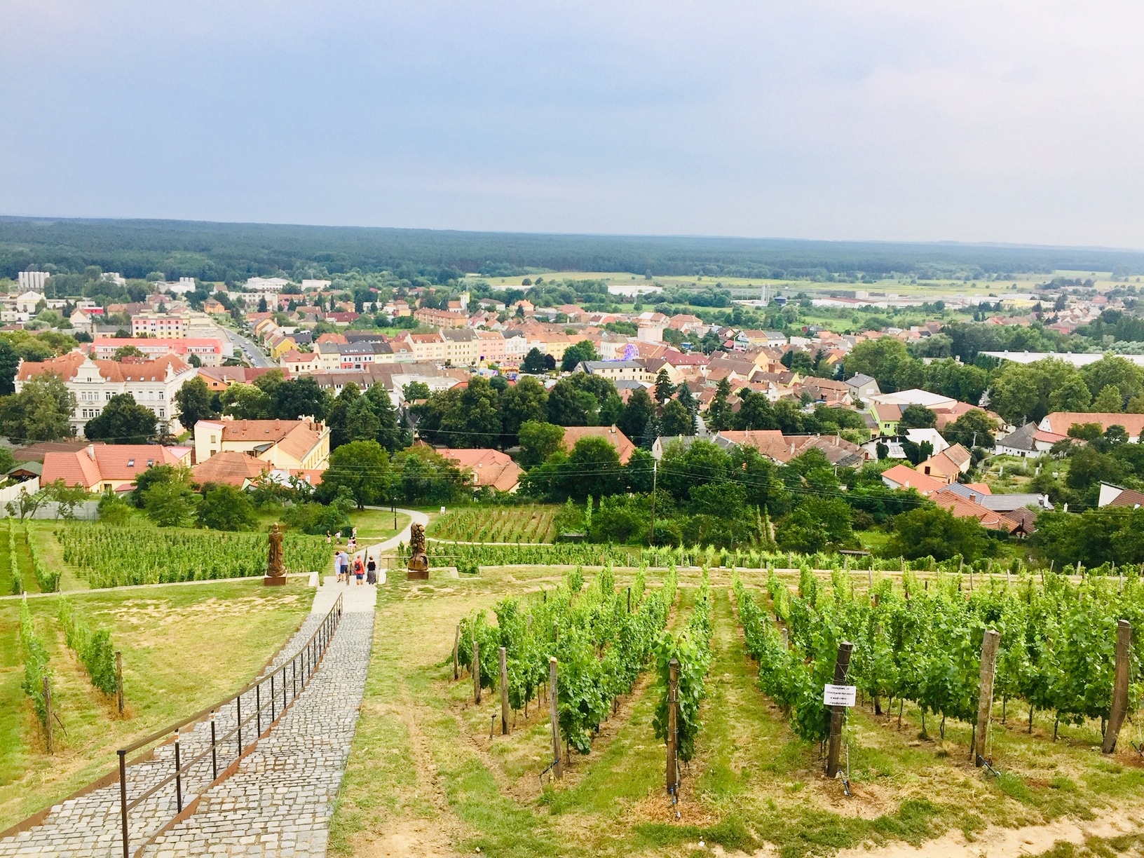 Viñedos de la Toscana checa 