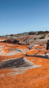 Bay of Fires