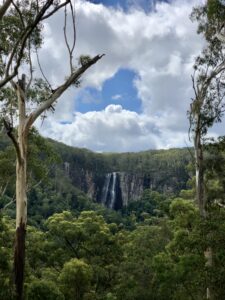 Cascadas del Nightcap National Park desde el mirador