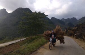 Norte de Vietnam