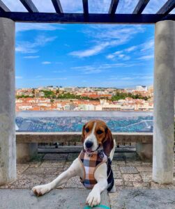 Monteagudo uno de los mejores miradores de Lisboa