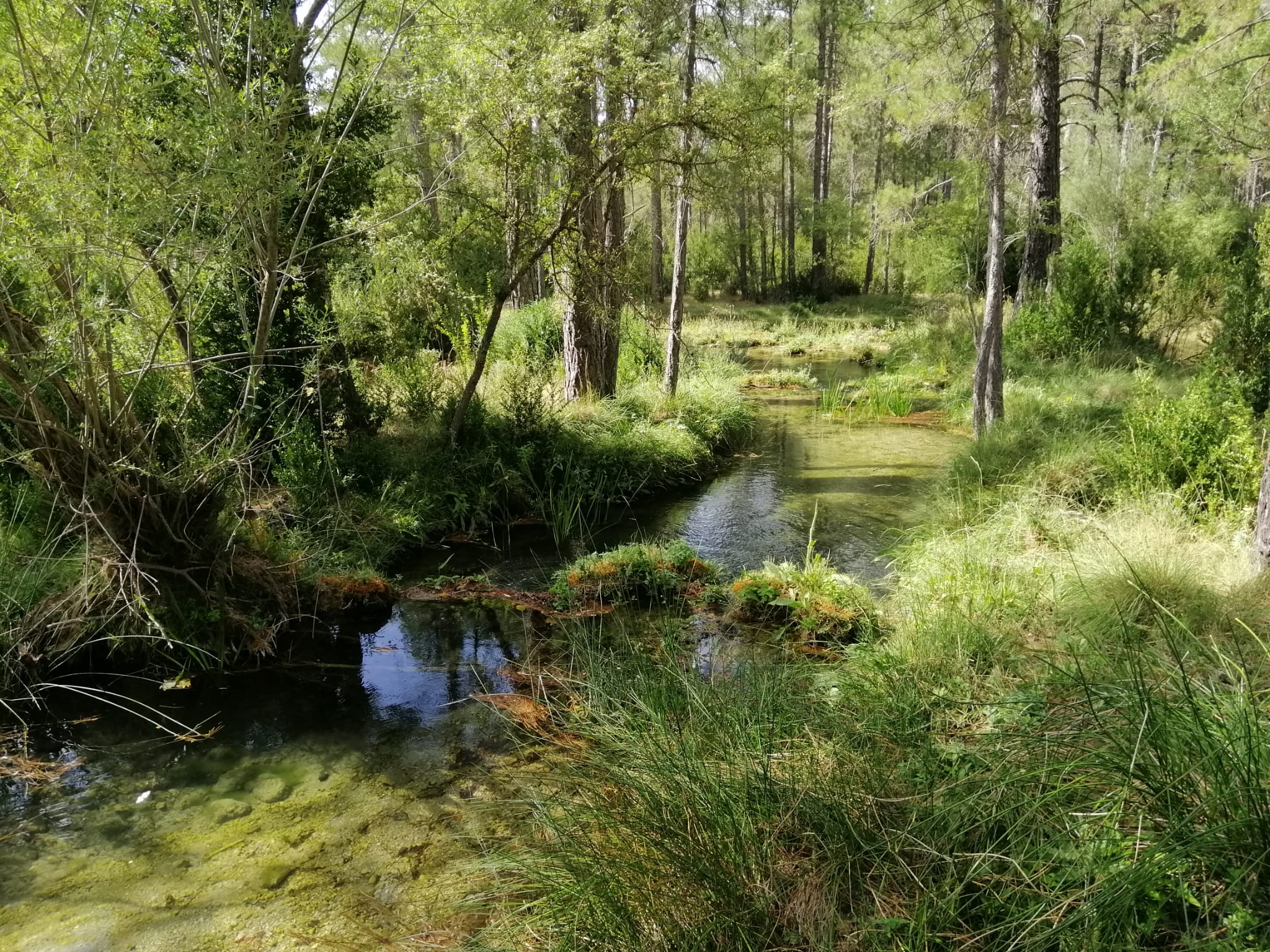 Serranía de Cuenca