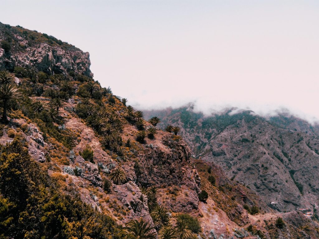 En La Gomera podrás ver muchas montañas ricas en vegetación.