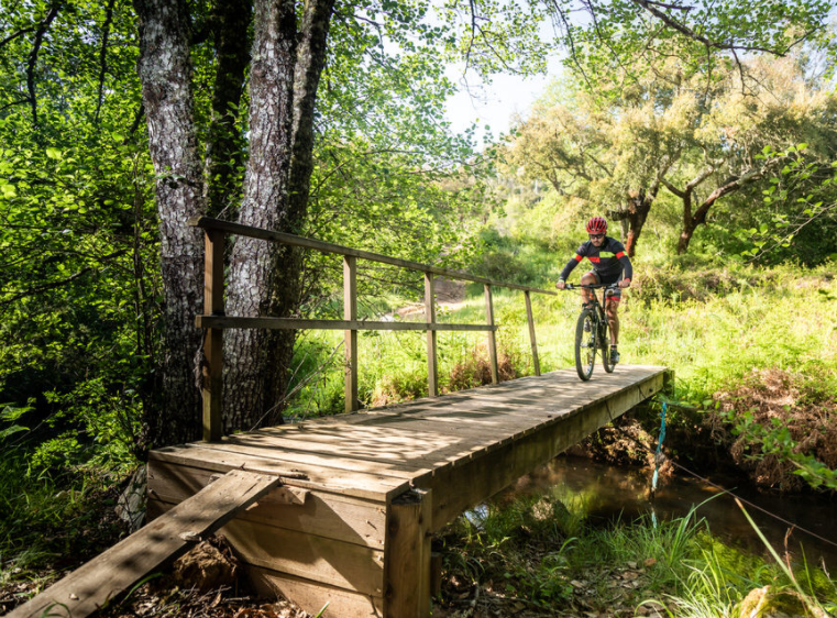 Ruta Vicentina en bici