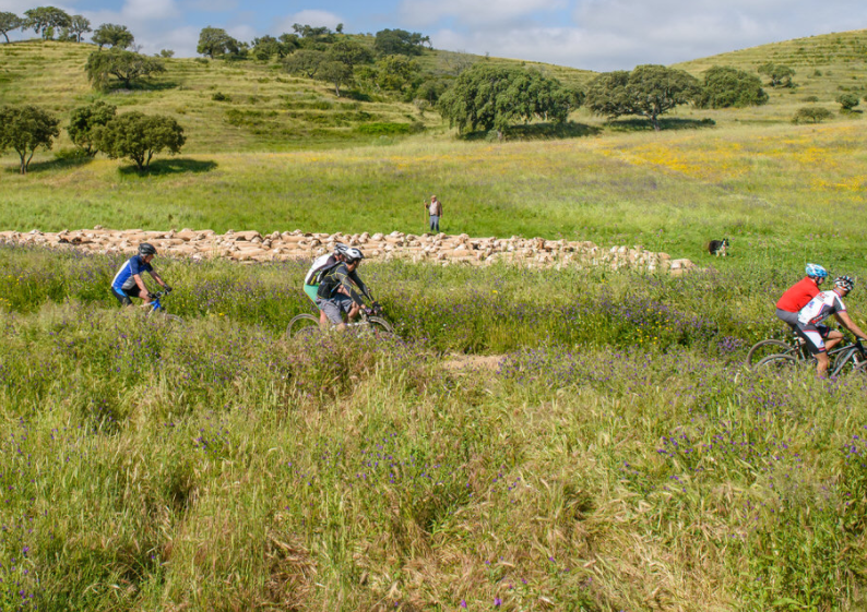 Ruta Vicentina en bici