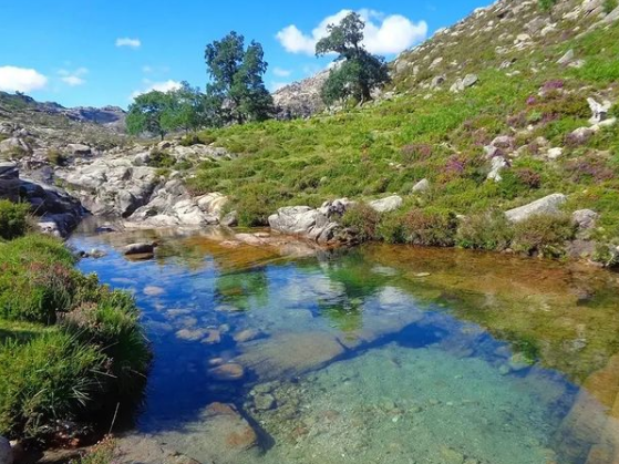 parque nacional peneda-gerês