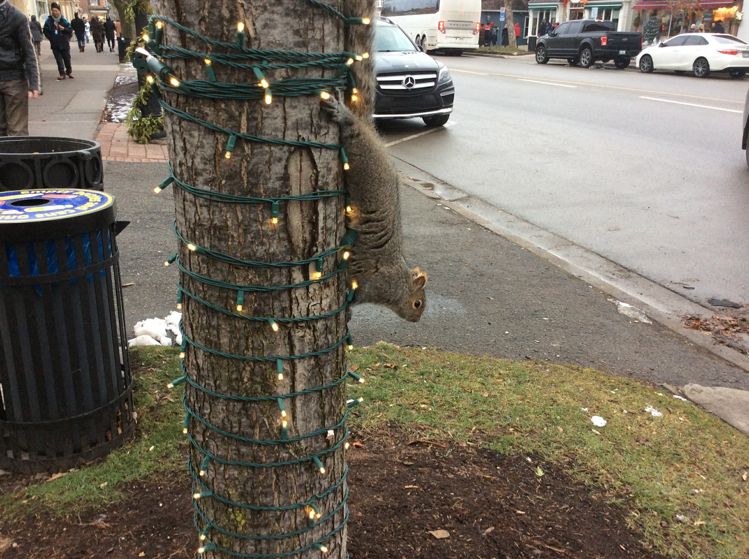 Navidad en Toronto: un sueño hecho realidad