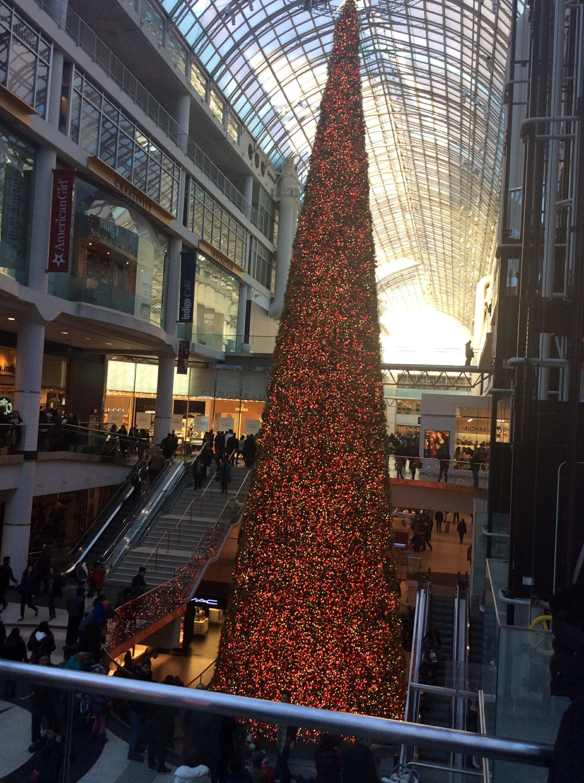 Navidad en Toronto: un sueño hecho realidad