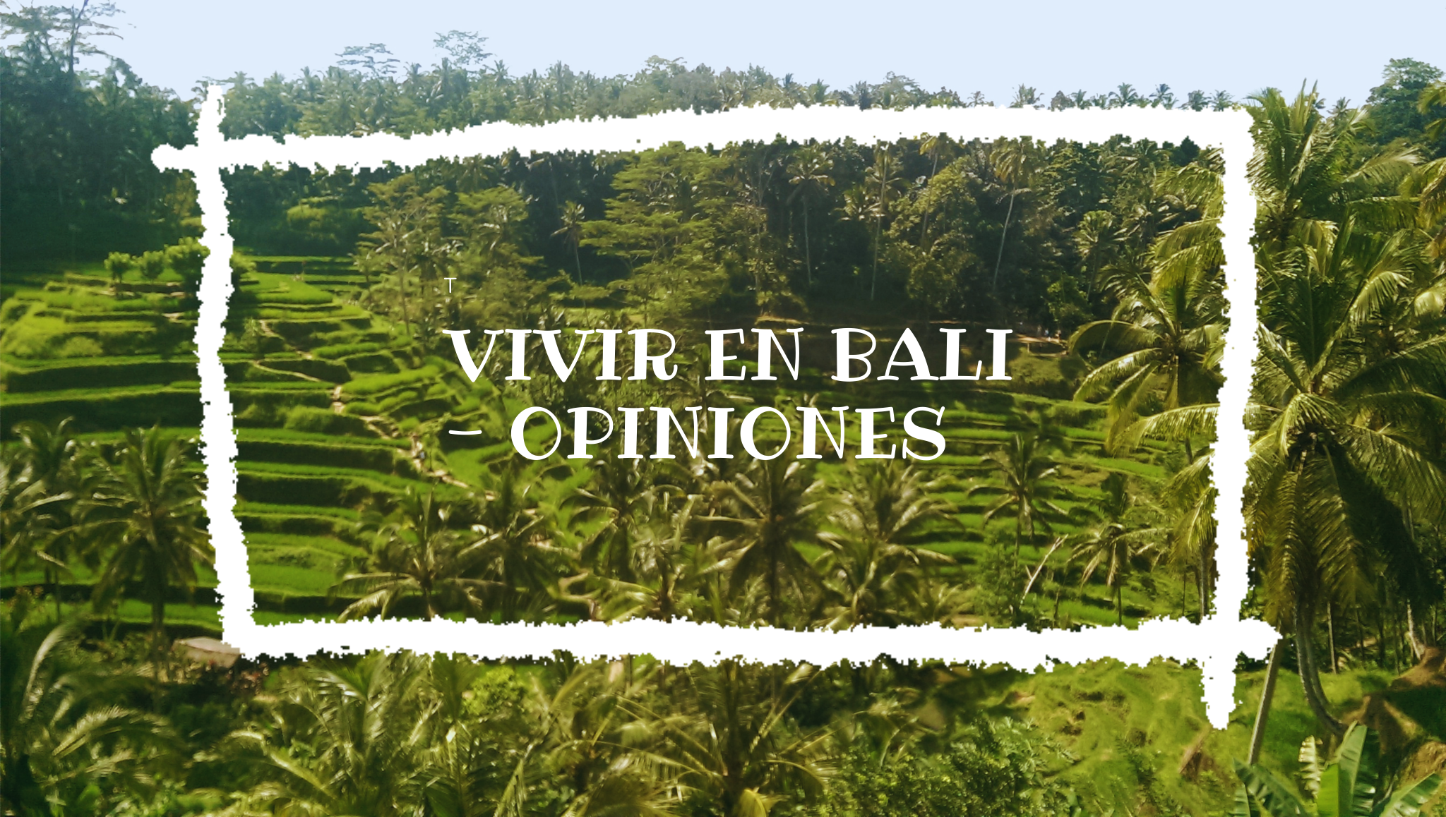 Vivir en Bali opiniones